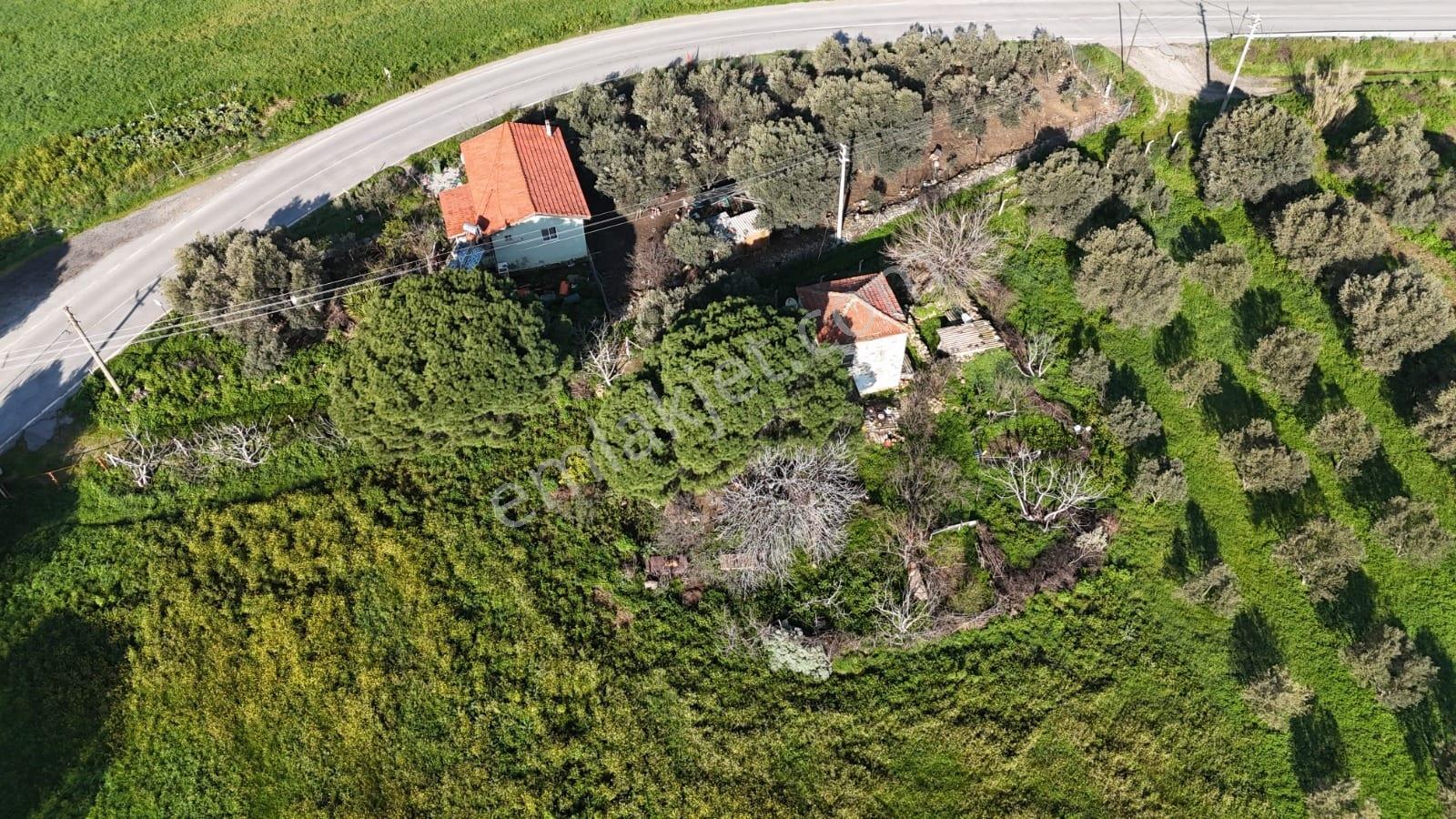 Foça Yenibağarası Mah. Anayola Cepheli Kiralık Tarla - Görsel 35