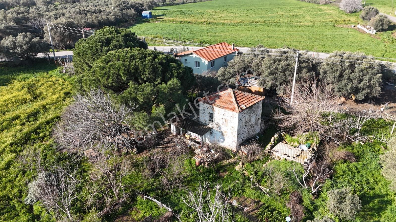 Foça Yenibağarası Mah. Anayola Cepheli Kiralık Tarla - Görsel 27