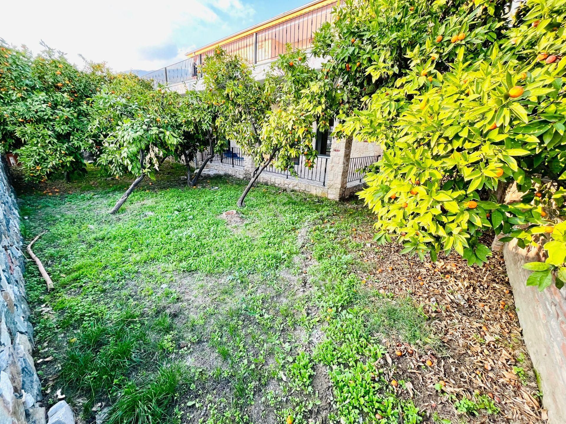 Yetki Yükselden Avcılarda 591 M2 Deniz Manzaralı Bağımsız Villa - Görsel 14