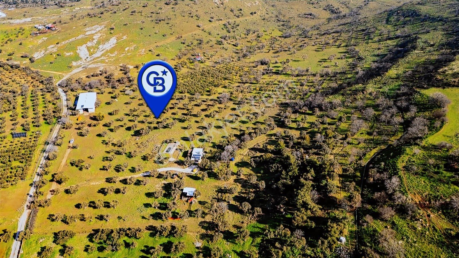 Foça Mustafa Kemal Atatürk Mah. Satılık Tarla - Görsel 29