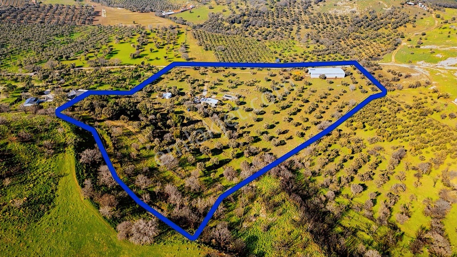 Foça Mustafa Kemal Atatürk Mah. Satılık Tarla - Görsel 20