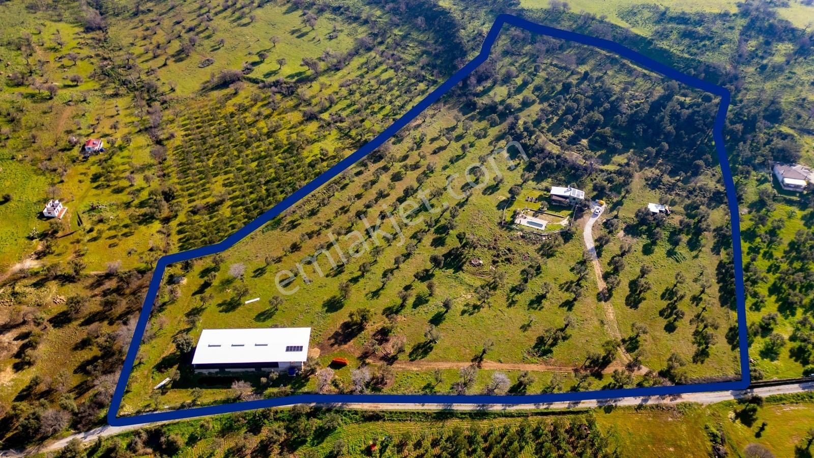 Foça Mustafa Kemal Atatürk Mah. Satılık Tarla - Görsel 26