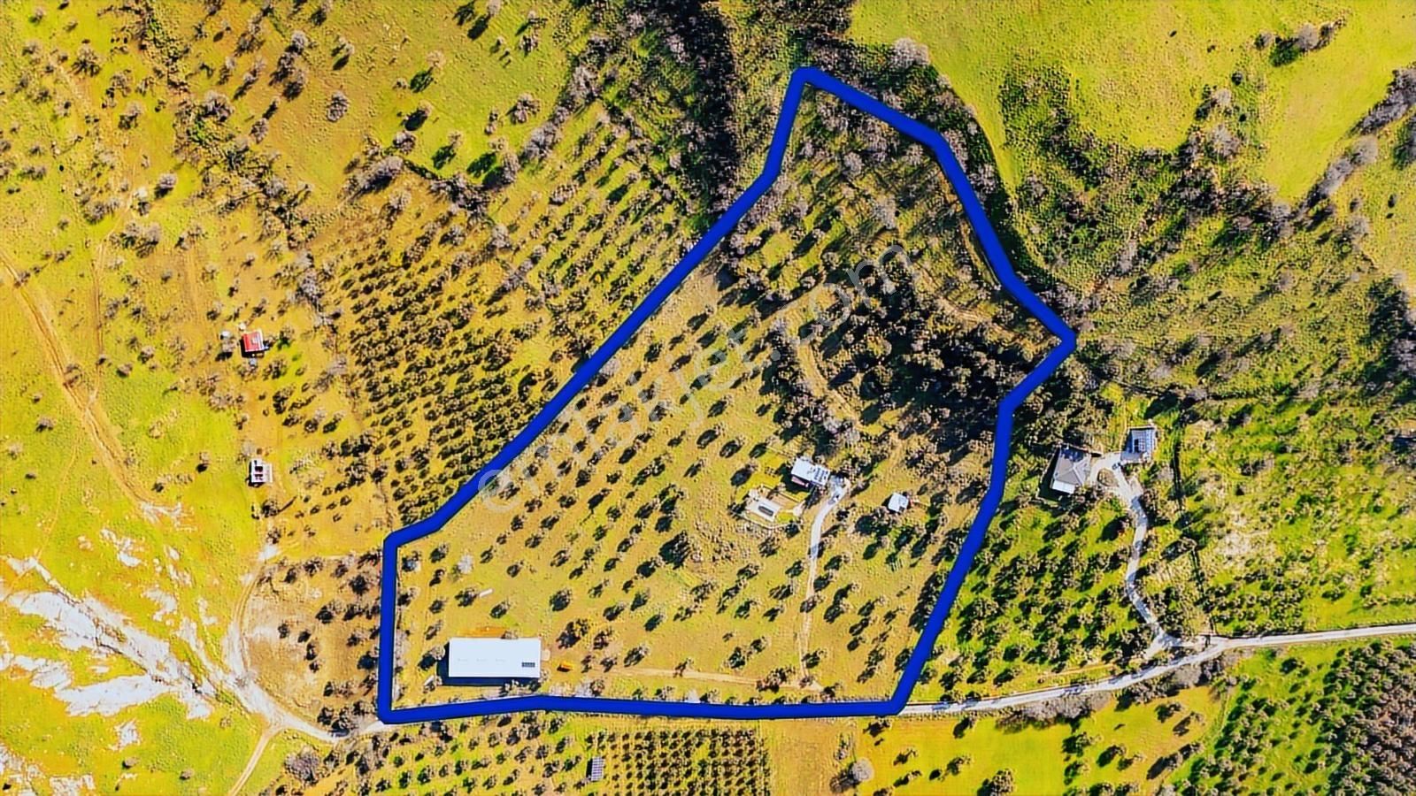 Foça Mustafa Kemal Atatürk Mah. Satılık Tarla - Görsel 28