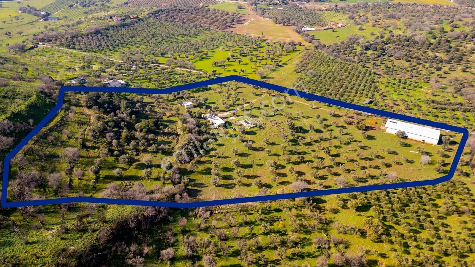 Foça Mustafa Kemal Atatürk Mah. Satılık Tarla