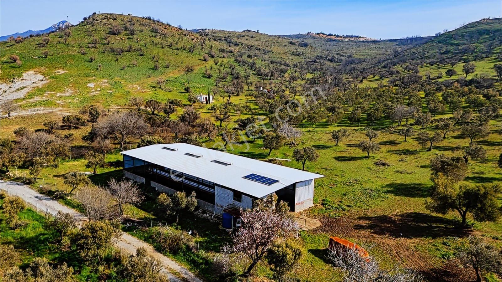 Foça Mustafa Kemal Atatürk Mah. Satılık Tarla - Görsel 23