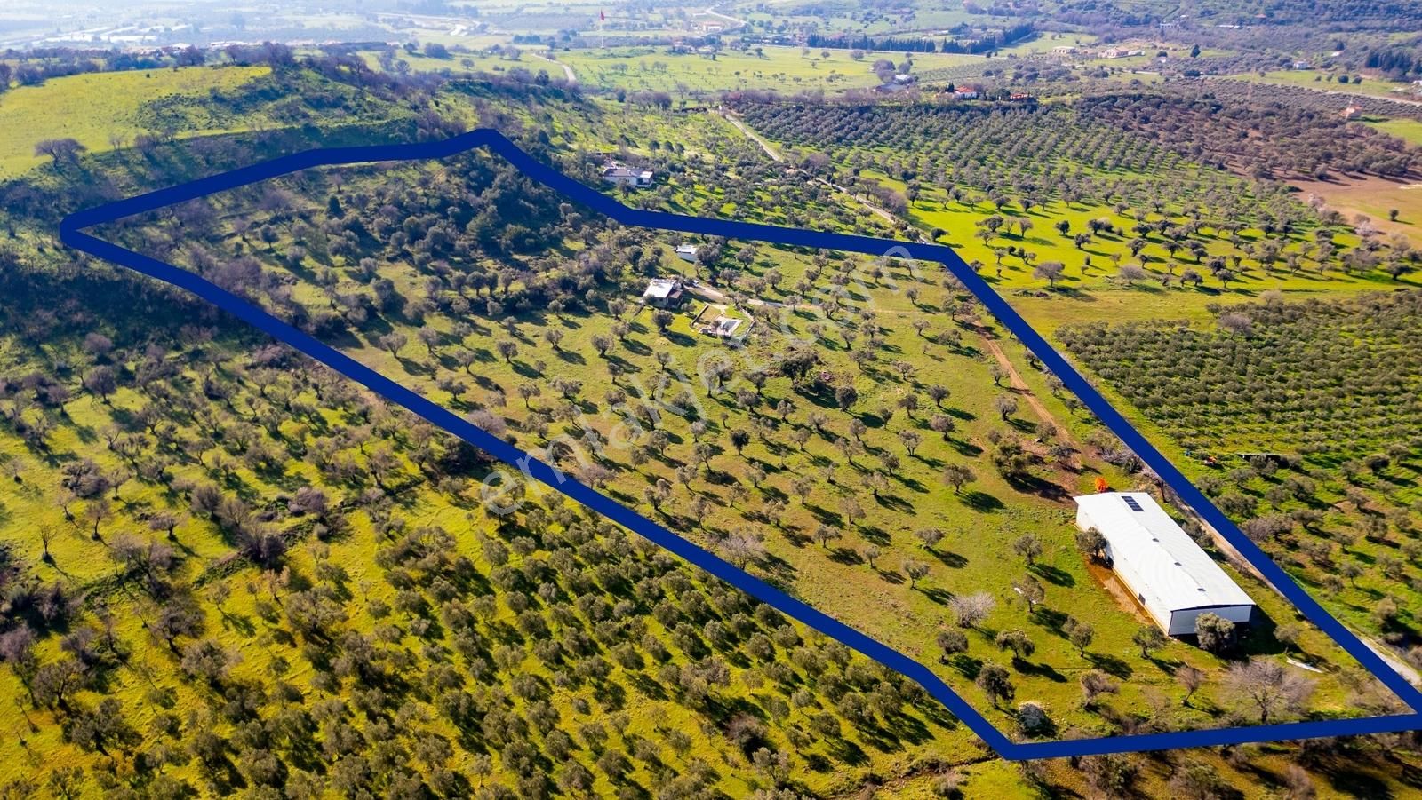 Foça Mustafa Kemal Atatürk Mah. Satılık Tarla - Görsel 10