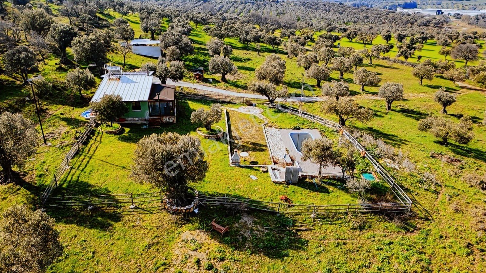 Foça Mustafa Kemal Atatürk Mah. Satılık Tarla - Görsel 4