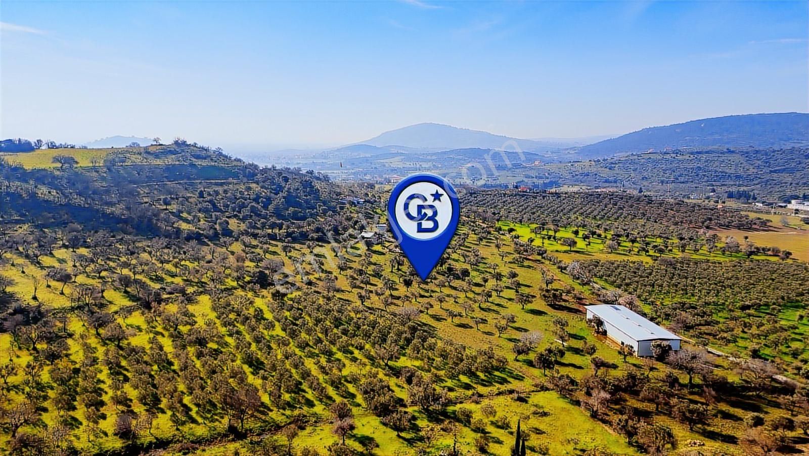 Foça Mustafa Kemal Atatürk Mah. Satılık Tarla - Görsel 27