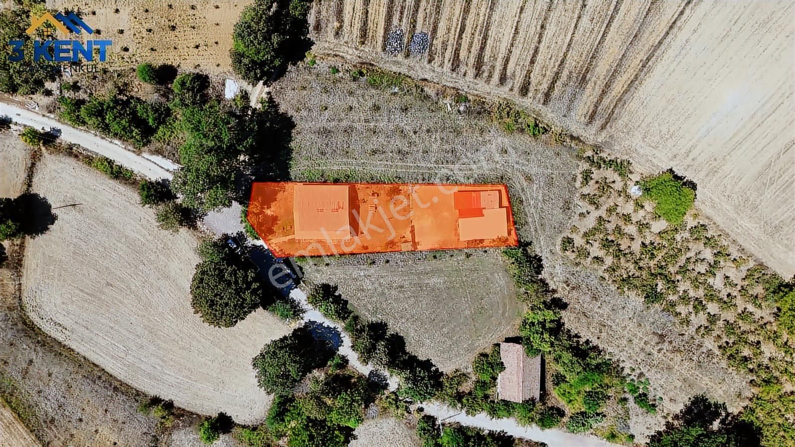 Kandıra Sarıahmetler Köy İçi İmarlı, Yapı Ve Ahırı İle Satılık - Görsel 31