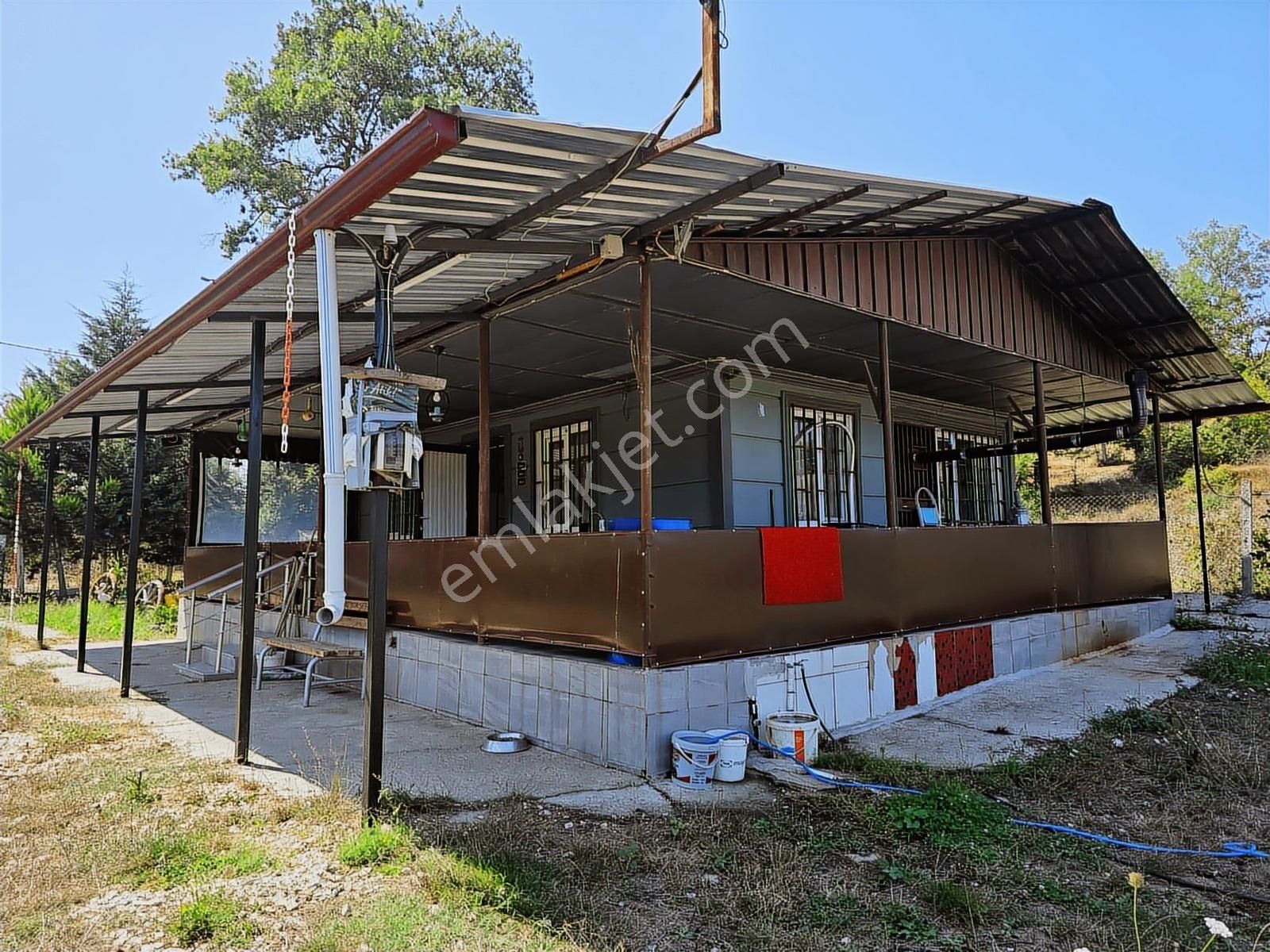 Kandıra Sarıahmetler Köy İçi İmarlı, Yapı Ve Ahırı İle Satılık