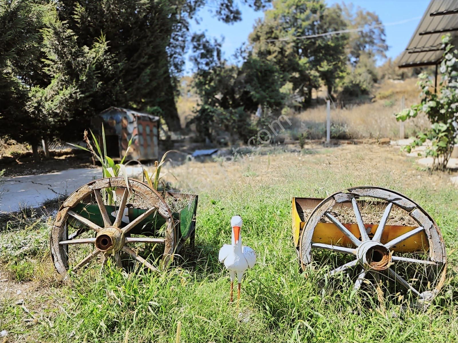 Kandıra Sarıahmetler Köy İçi İmarlı, Yapı Ve Ahırı İle Satılık - Görsel 19