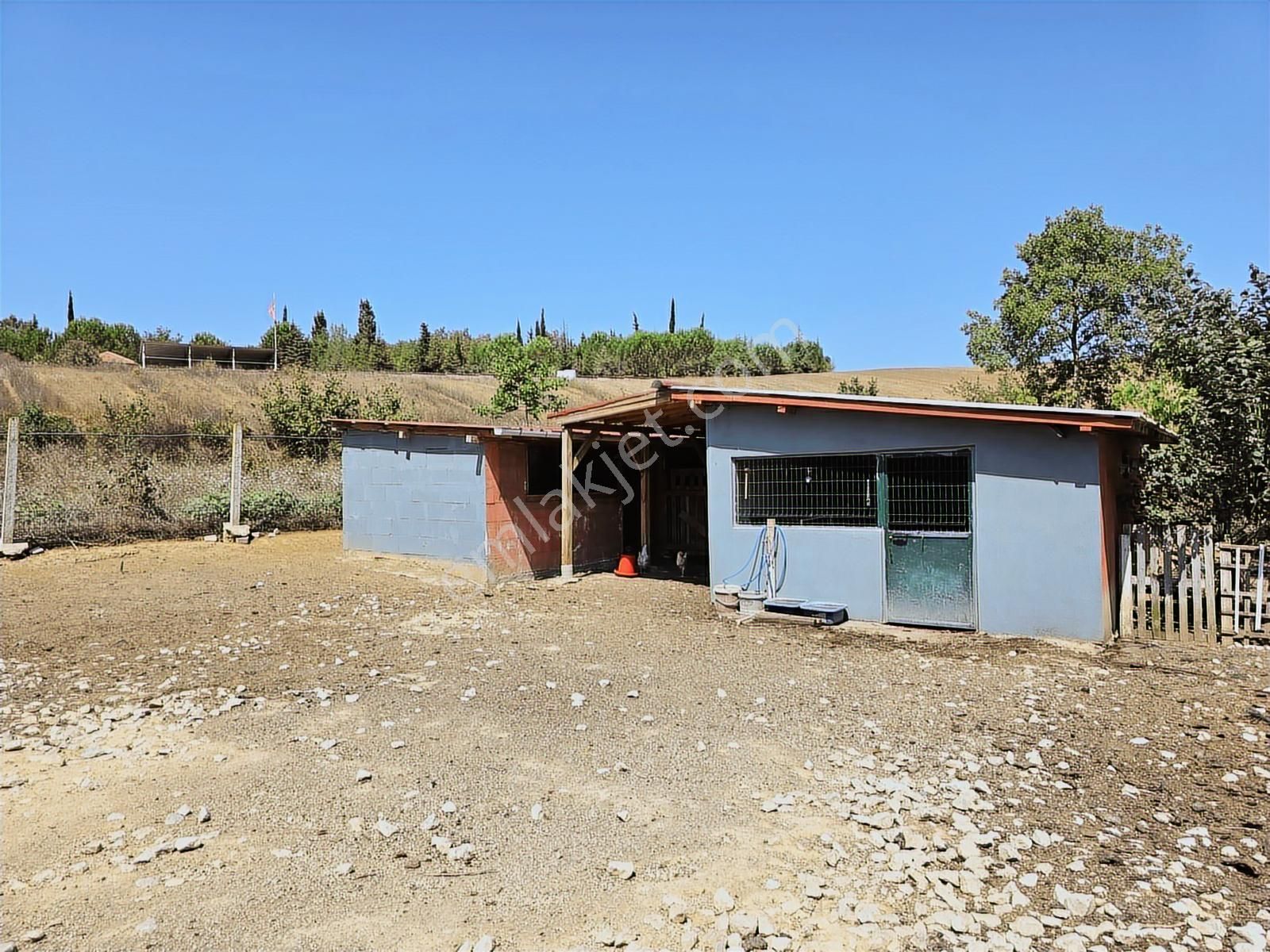 Kandıra Sarıahmetler Köy İçi İmarlı, Yapı Ve Ahırı İle Satılık - Görsel 13