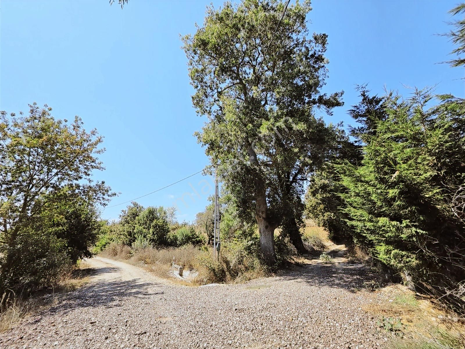 Kandıra Sarıahmetler Köy İçi İmarlı, Yapı Ve Ahırı İle Satılık - Görsel 7