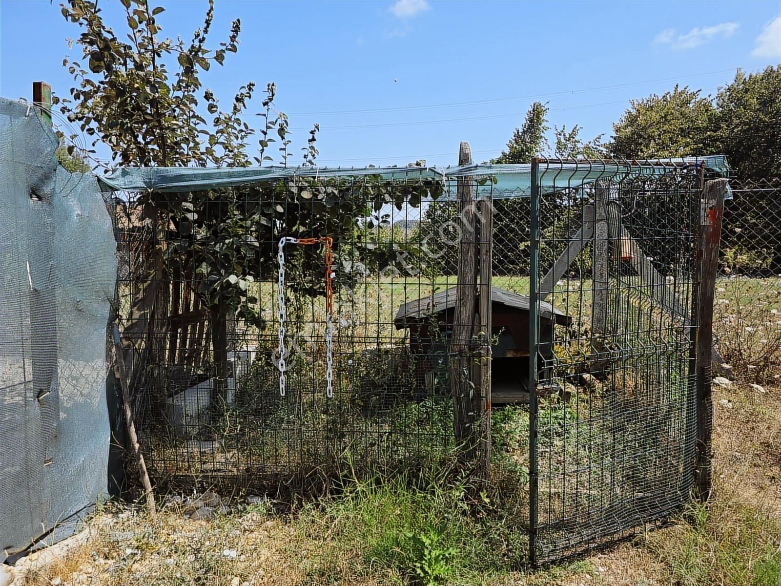 Kandıra Sarıahmetler Köy İçi İmarlı, Yapı Ve Ahırı İle Satılık - Görsel 25