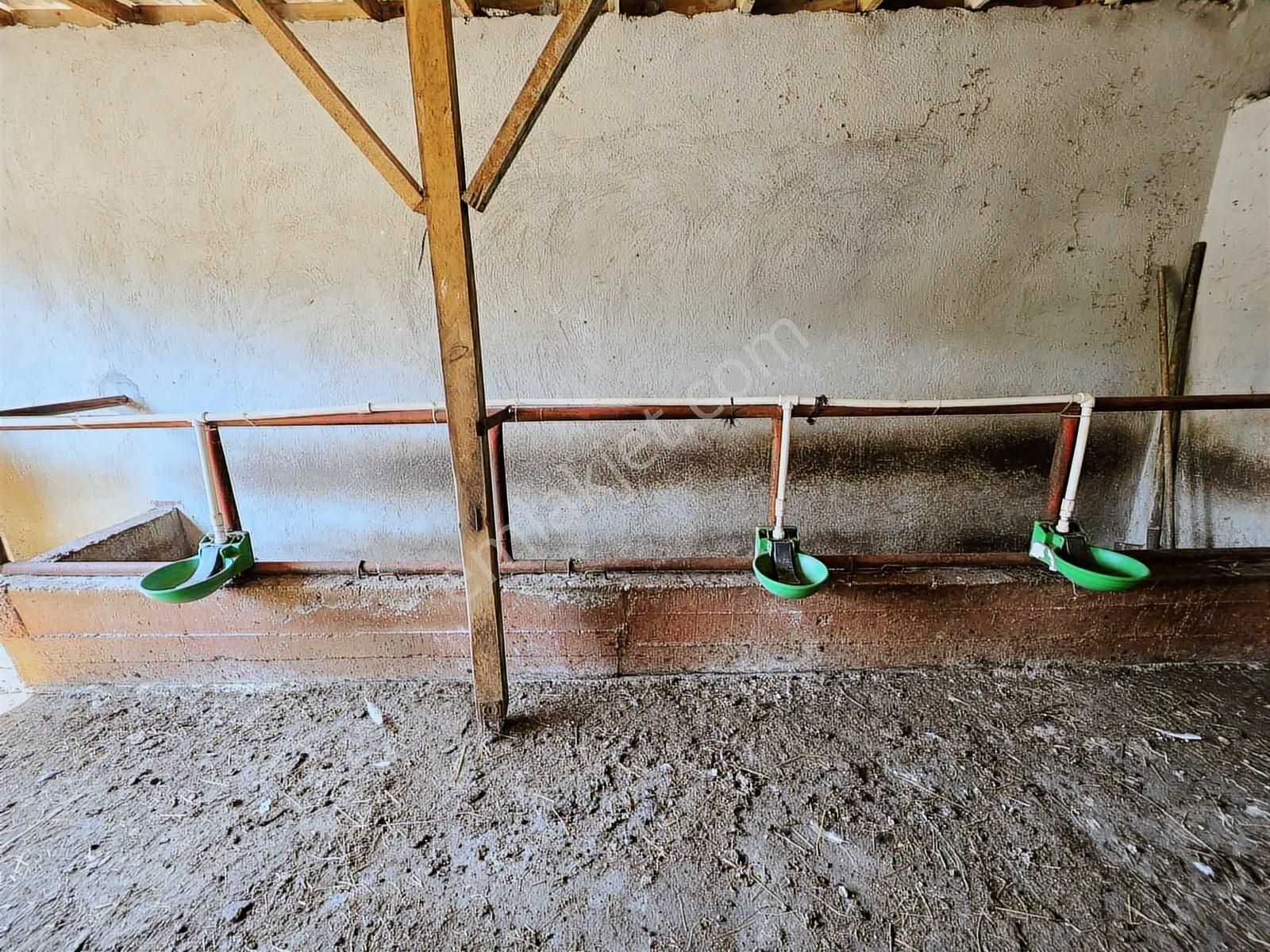 Kandıra Sarıahmetler Köy İçi İmarlı, Yapı Ve Ahırı İle Satılık - Görsel 15