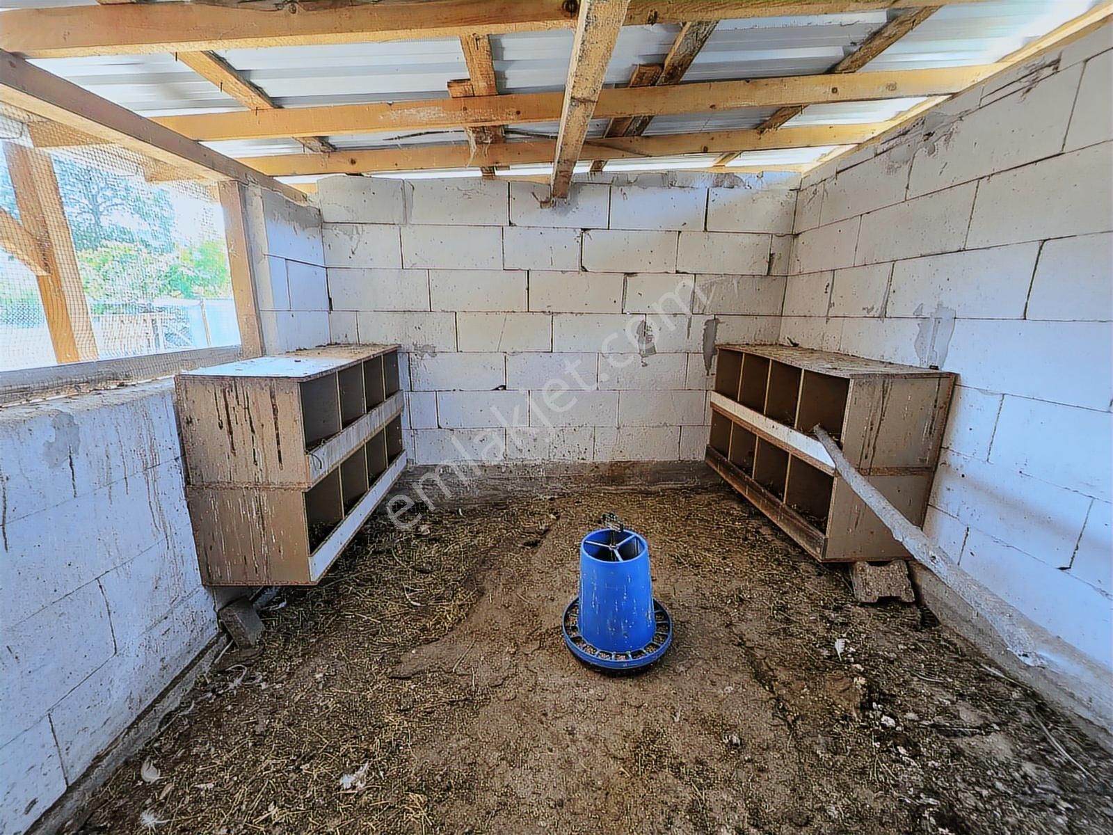 Kandıra Sarıahmetler Köy İçi İmarlı, Yapı Ve Ahırı İle Satılık - Görsel 4