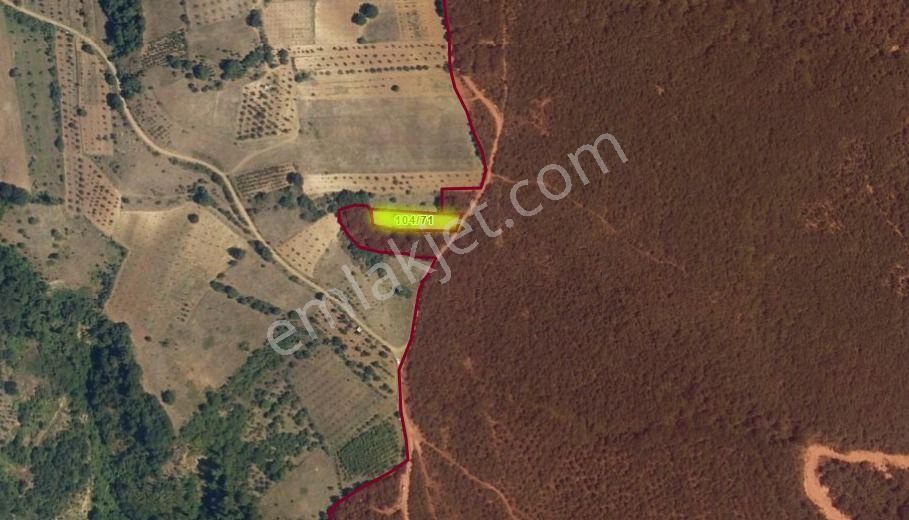 Yaşama Hazır / Mütsakil Tek Tapu Hayallerinizi Gerçekleştirin - Görsel 4