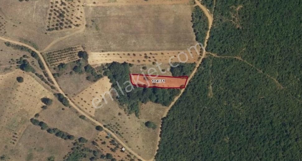 Yaşama Hazır / Mütsakil Tek Tapu Hayallerinizi Gerçekleştirin - Görsel 3