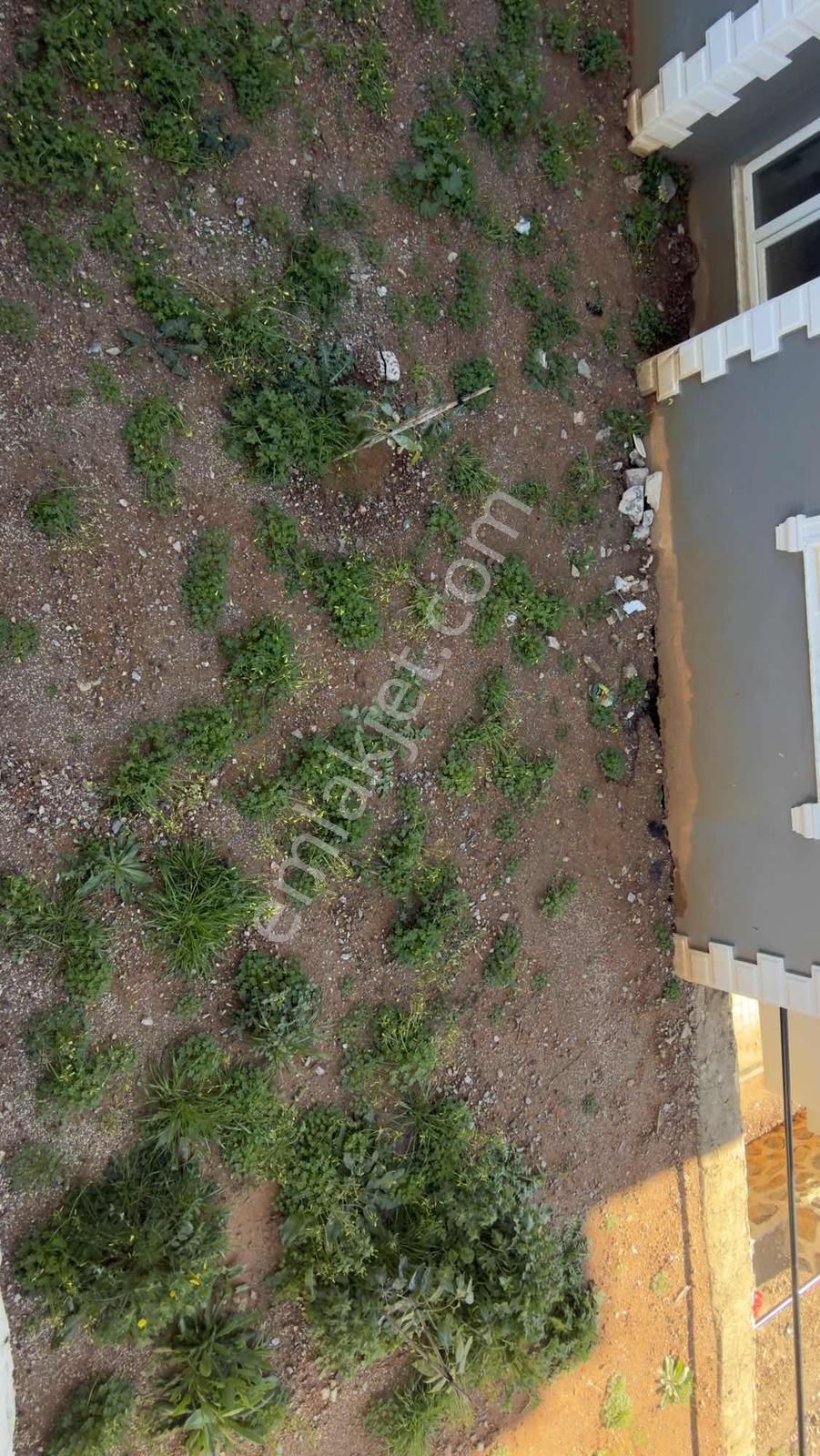 Çıplaklı'da Satılık En Ucuz 2+1 Daire - Görsel 13