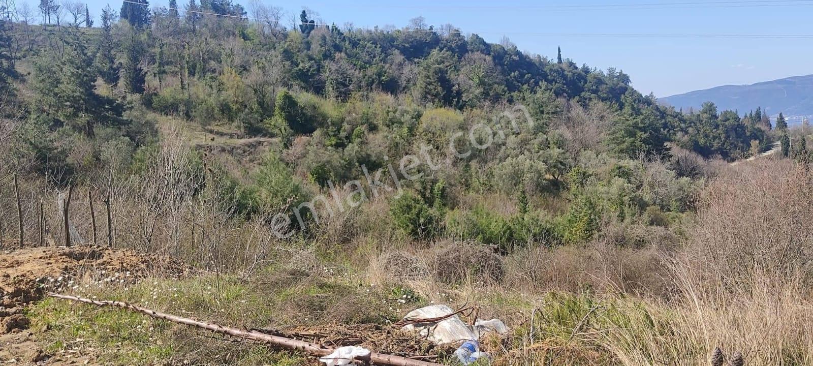 Fiyat Düştü Lidya'dan Ulaşlı'da %15 İmarlı Deniz Manzaralı Arsa - Görsel 3