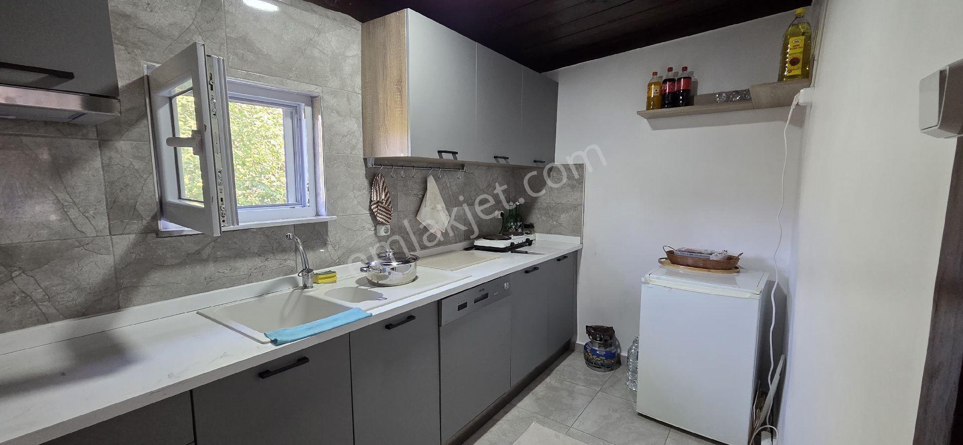 Acil! Acil Mudurnu Dolayüz Köyünde Çiftlik Evi - Görsel 17