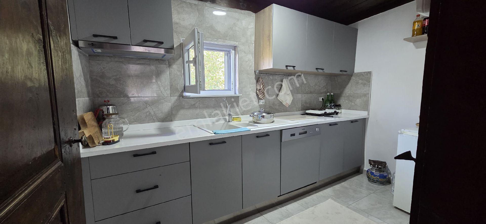 Acil! Acil Mudurnu Dolayüz Köyünde Çiftlik Evi - Görsel 19