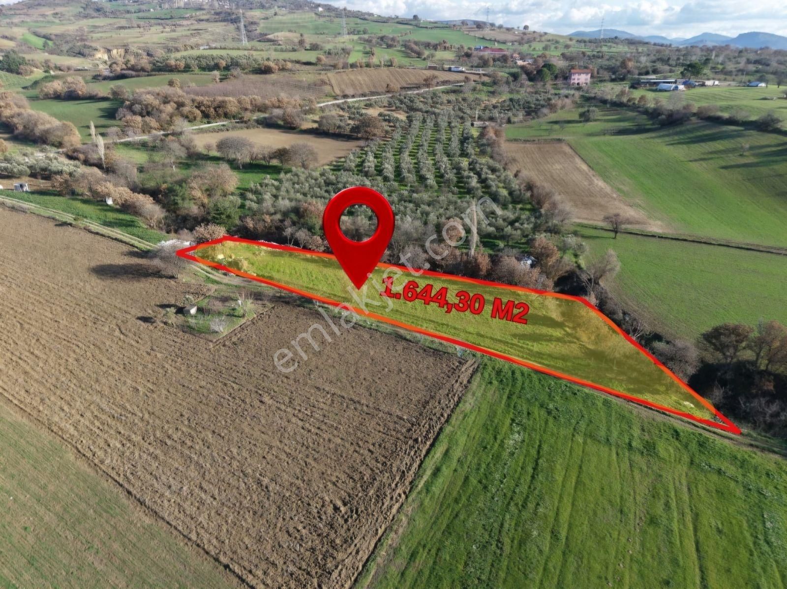 Çanakkale Işıklar Koyunde Sarı Bolgede Satılık Tarla - Görsel 13