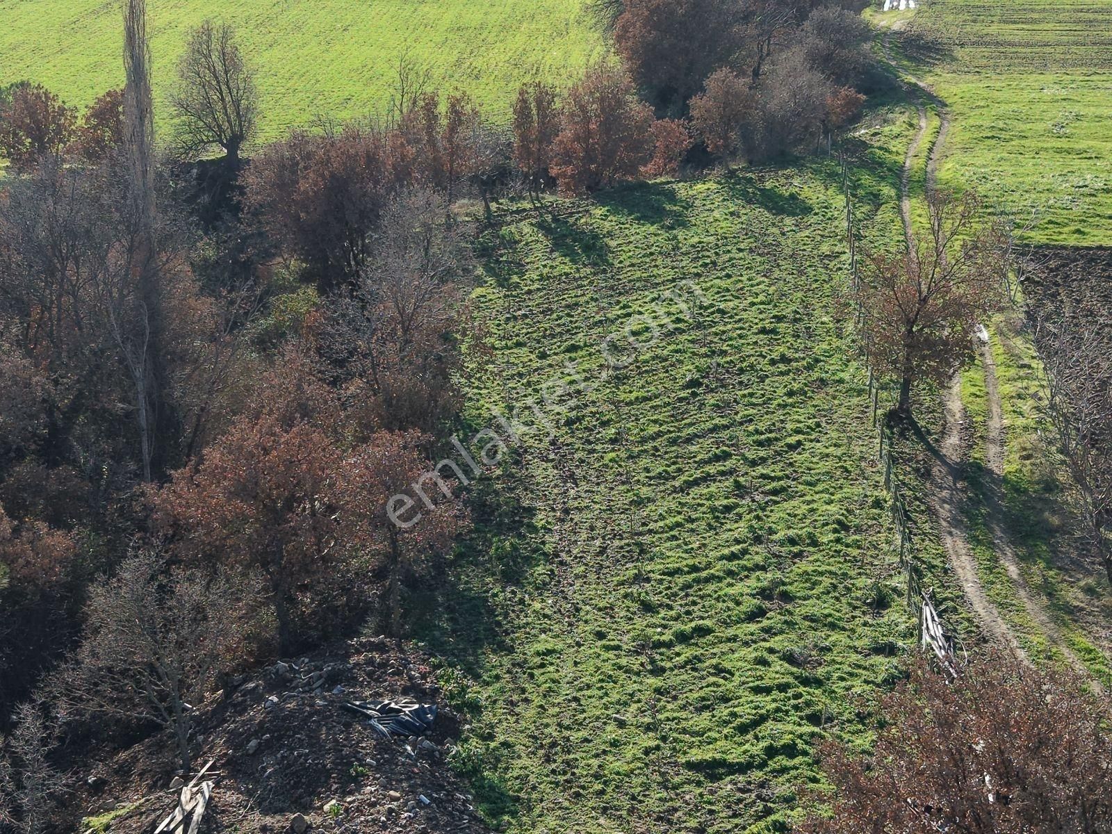 Çanakkale Işıklar Koyunde Sarı Bolgede Satılık Tarla - Görsel 9