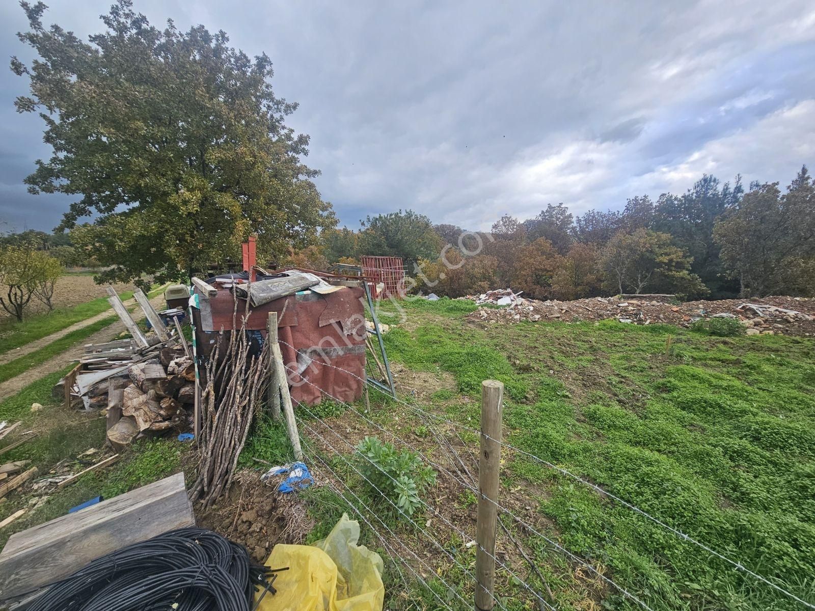 Çanakkale Işıklar Koyunde Sarı Bolgede Satılık Tarla - Görsel 2