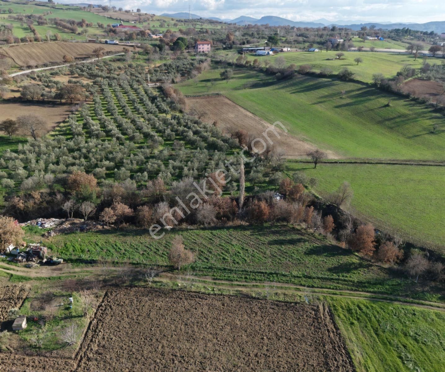 Çanakkale Işıklar Koyunde Sarı Bolgede Satılık Tarla