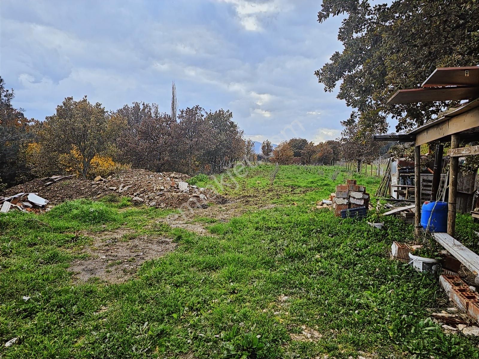 Çanakkale Işıklar Koyunde Sarı Bolgede Satılık Tarla - Görsel 5