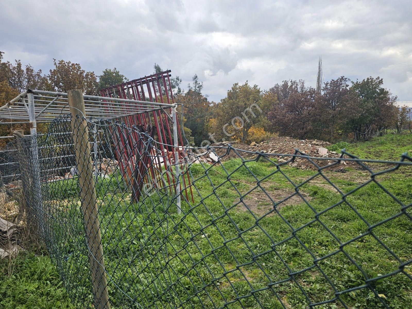 Çanakkale Işıklar Koyunde Sarı Bolgede Satılık Tarla - Görsel 6
