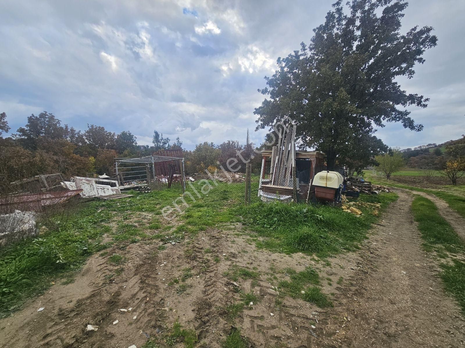 Çanakkale Işıklar Koyunde Sarı Bolgede Satılık Tarla - Görsel 16