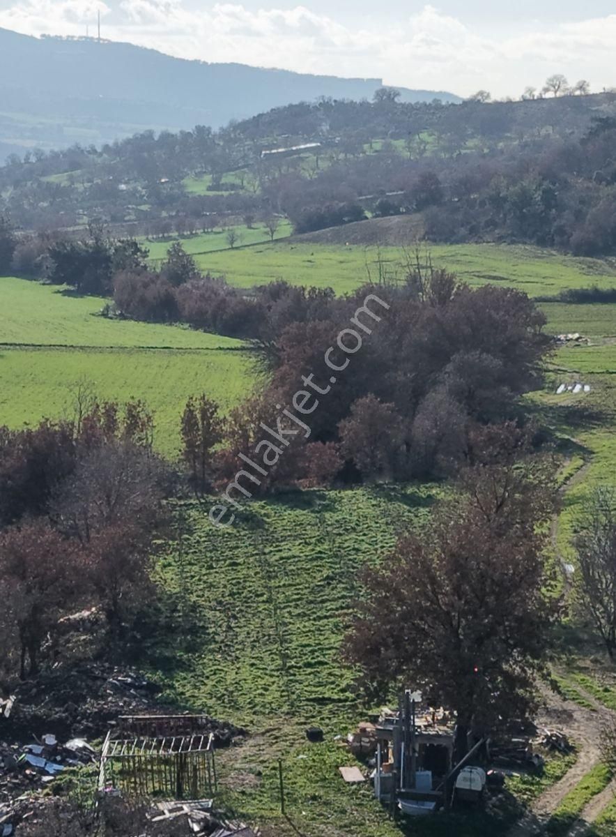 Çanakkale Işıklar Koyunde Sarı Bolgede Satılık Tarla - Görsel 7