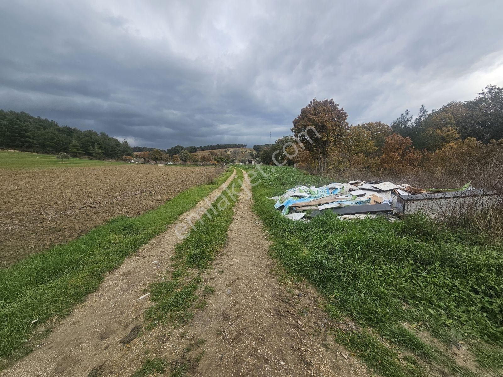 Çanakkale Işıklar Koyunde Sarı Bolgede Satılık Tarla - Görsel 15