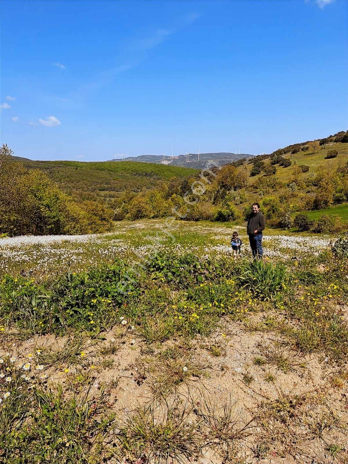 Çanakkale-lapseki-beyçayır Köyü-tarla