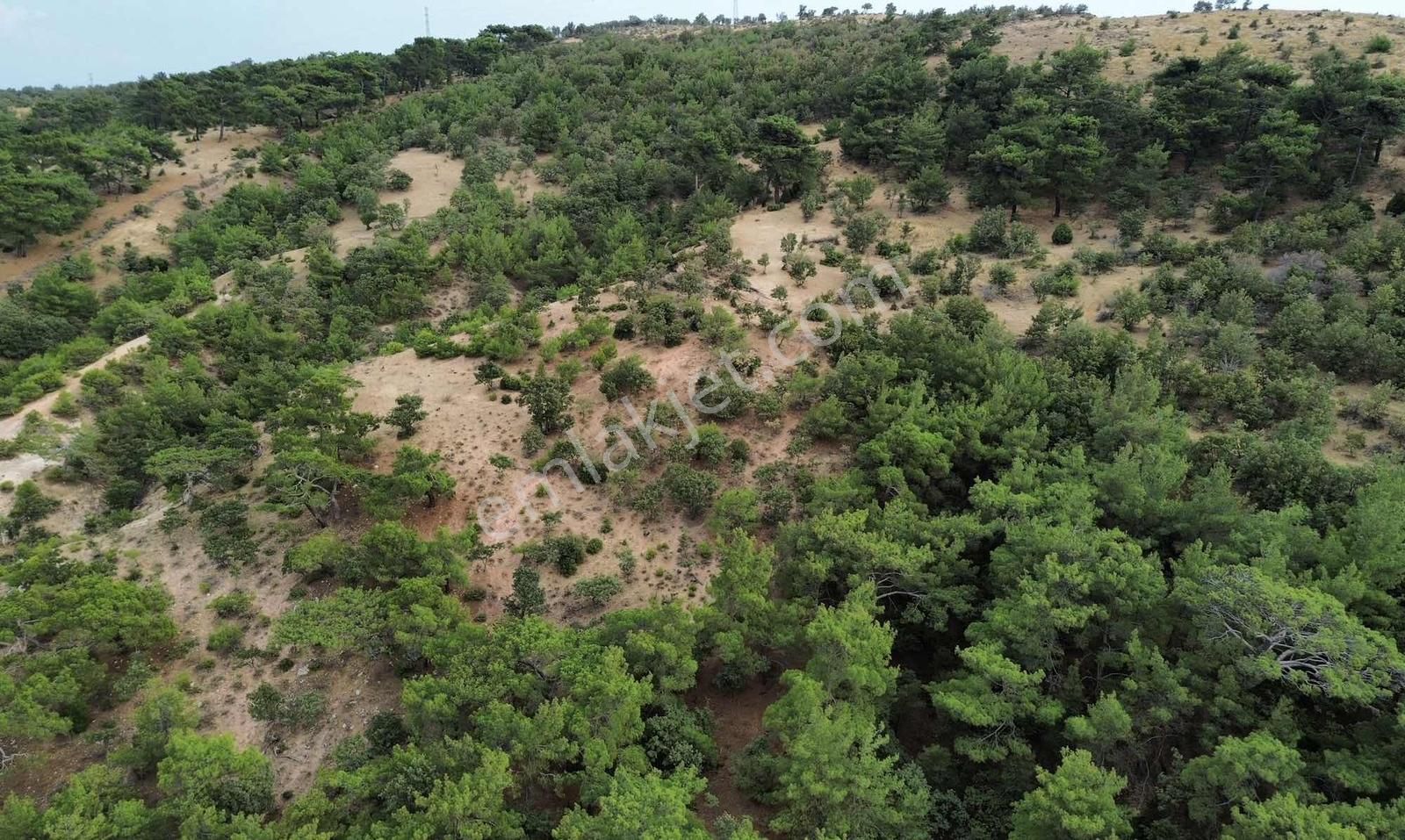 5200 M2 Full Deniz Manzaralı Kelepir Acil Satılık Tarla - Görsel 13