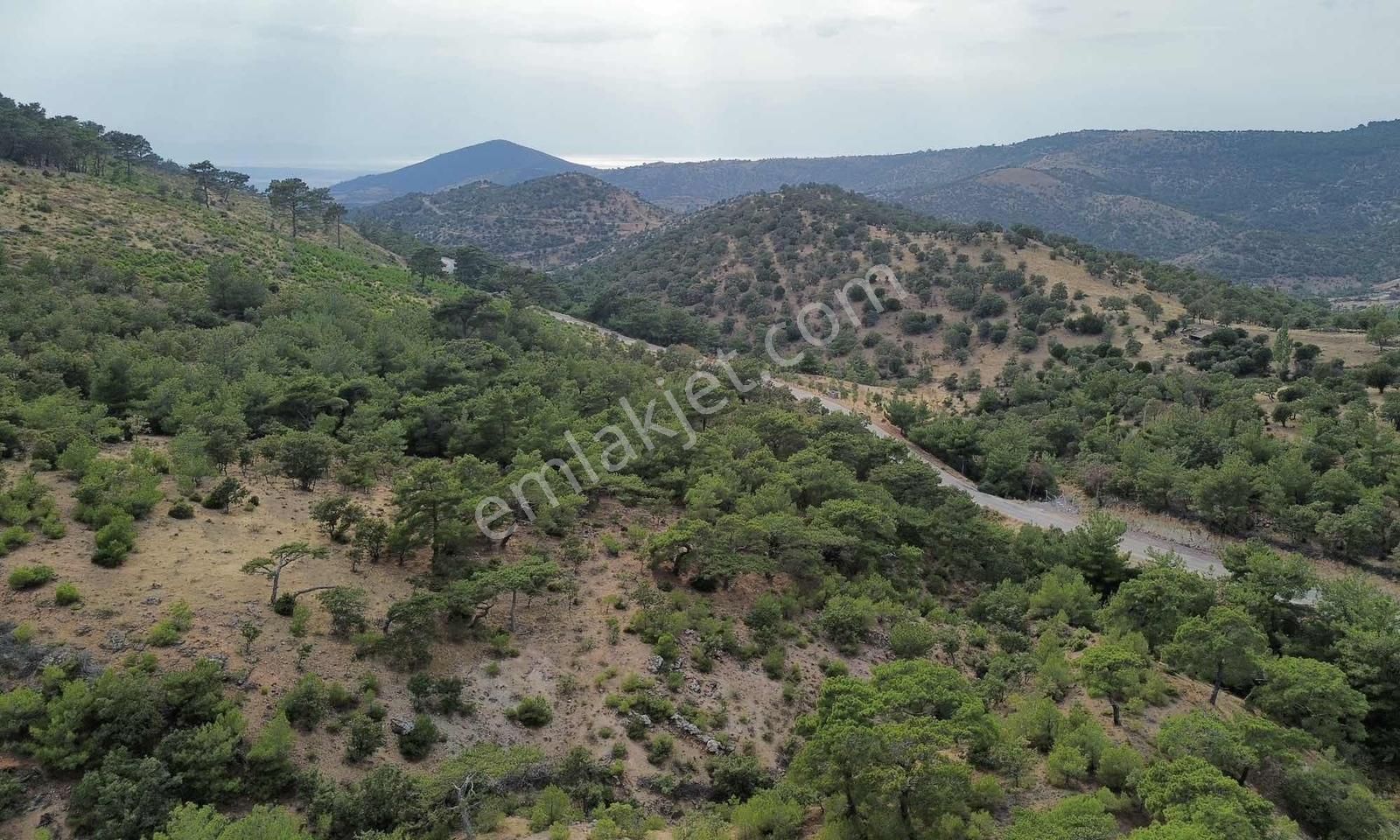 5200 M2 Full Deniz Manzaralı Kelepir Acil Satılık Tarla - Görsel 18