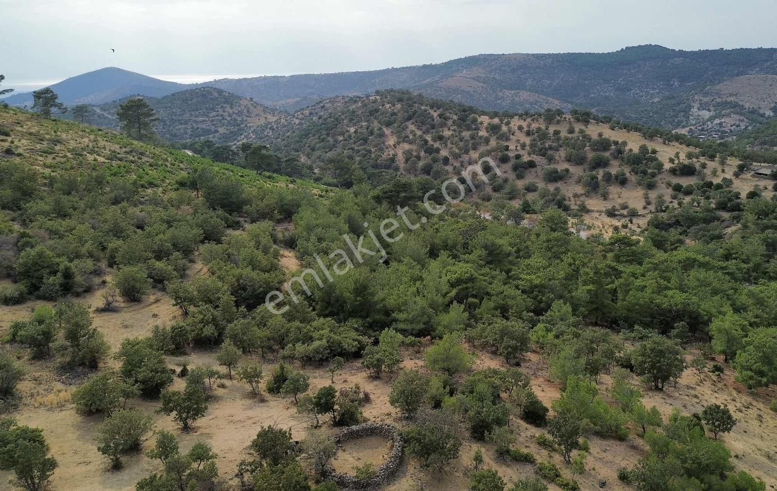 5200 M2 Full Deniz Manzaralı Kelepir Acil Satılık Tarla - Görsel 29