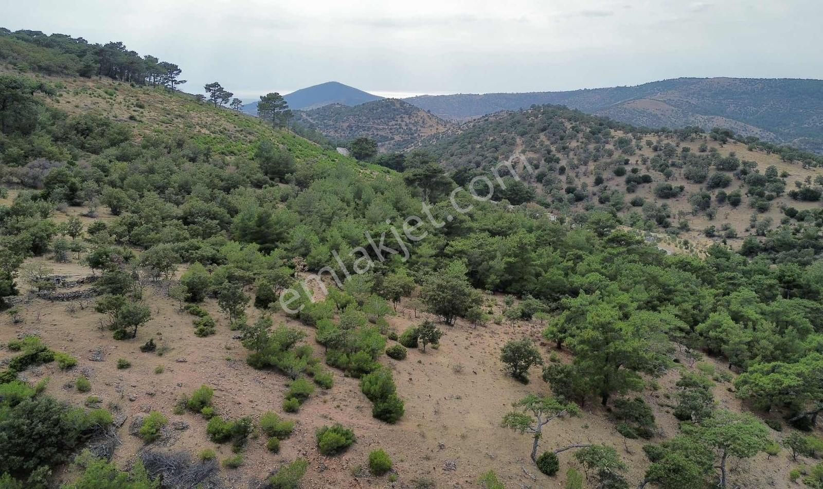 5200 M2 Full Deniz Manzaralı Kelepir Acil Satılık Tarla - Görsel 12