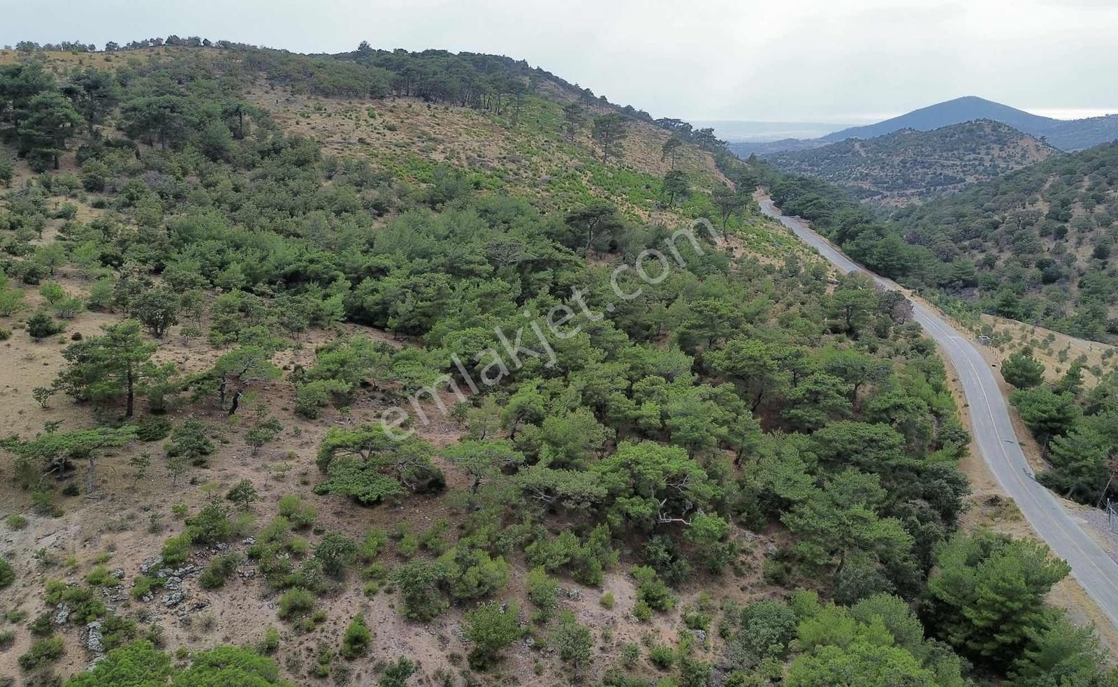 5200 M2 Full Deniz Manzaralı Kelepir Acil Satılık Tarla - Görsel 21