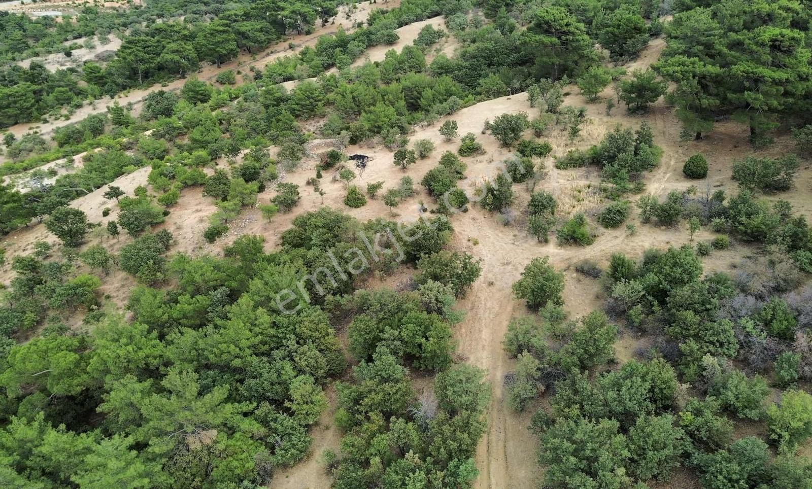 5200 M2 Full Deniz Manzaralı Kelepir Acil Satılık Tarla - Görsel 28
