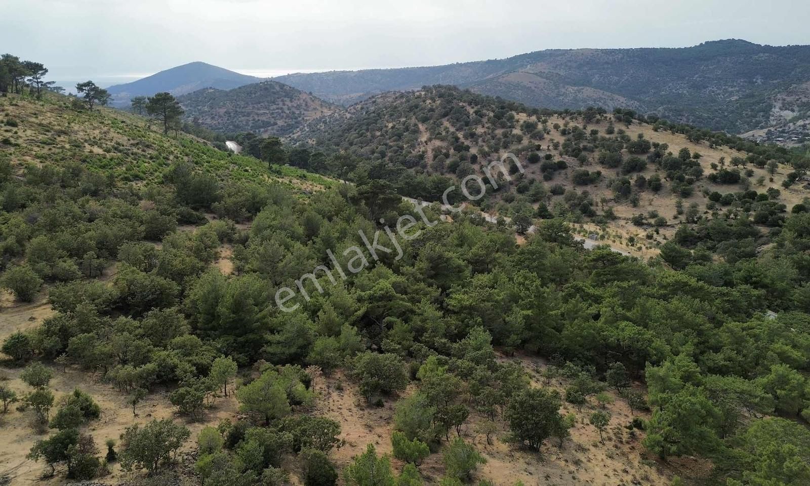 5200 M2 Full Deniz Manzaralı Kelepir Acil Satılık Tarla - Görsel 14
