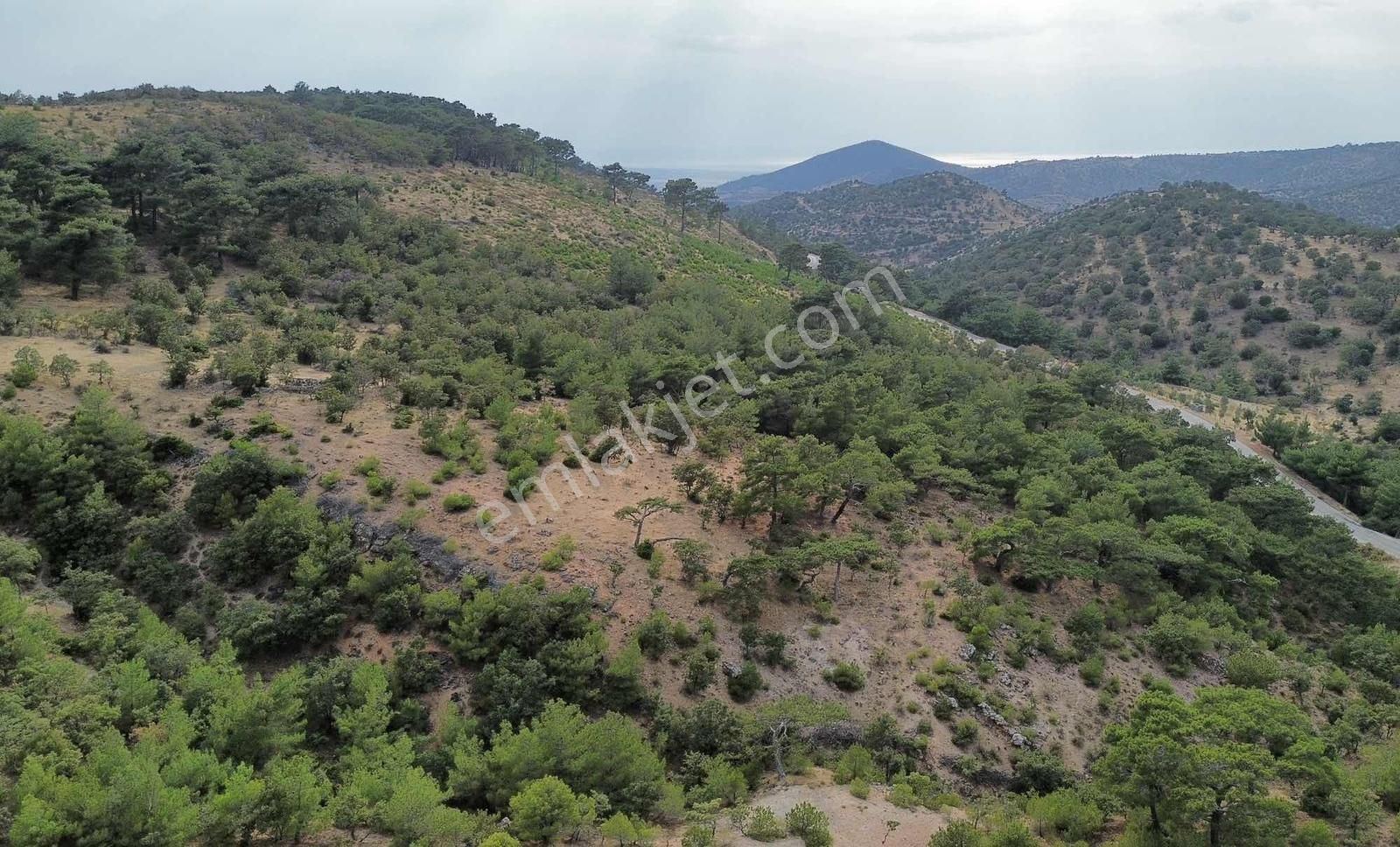 5200 M2 Full Deniz Manzaralı Kelepir Acil Satılık Tarla - Görsel 16