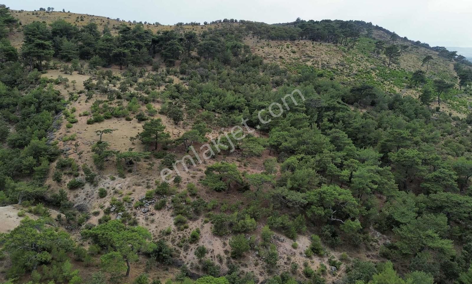 5200 M2 Full Deniz Manzaralı Kelepir Acil Satılık Tarla - Görsel 22