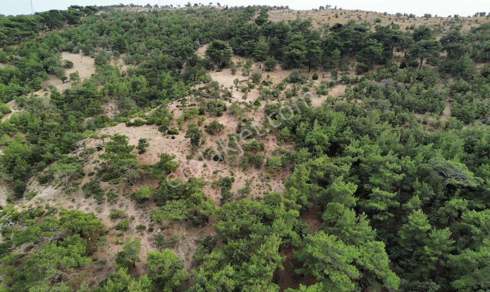 5200 M2 Full Deniz Manzaralı Kelepir Acil Satılık Tarla - Görsel 27