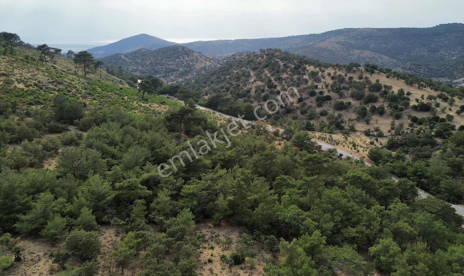5200 M2 Full Deniz Manzaralı Kelepir Acil Satılık Tarla - Görsel 8