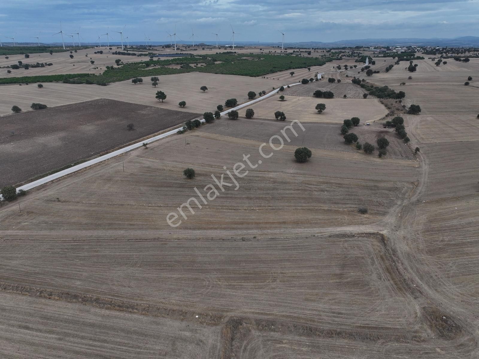 Ezine Kumburun Asfalt Yol Cephe 27.543m2 Satılık Tarla - Görsel 8