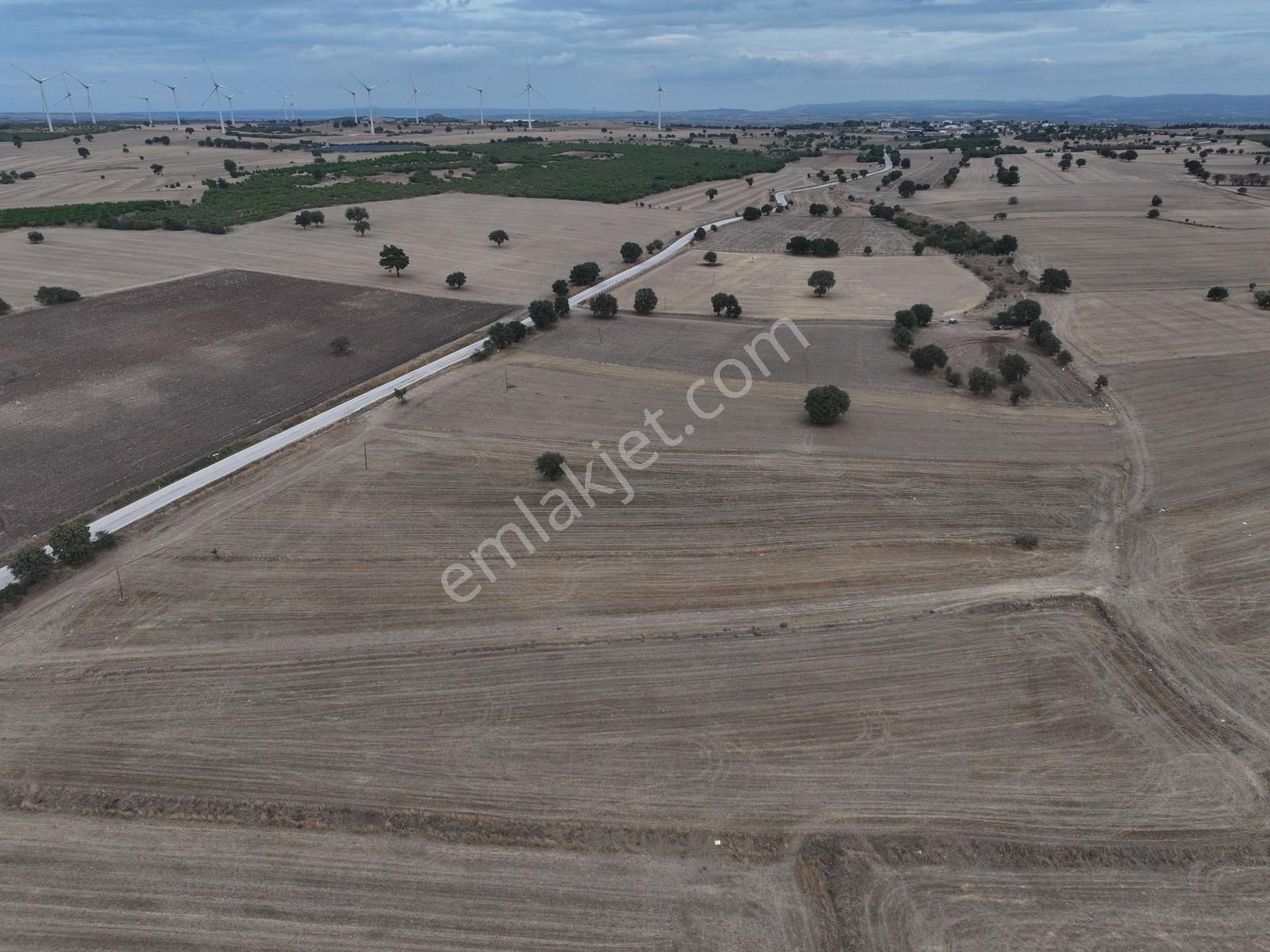 Ezine Kumburun Asfalt Yol Cephe 27.543m2 Satılık Tarla - Görsel 7