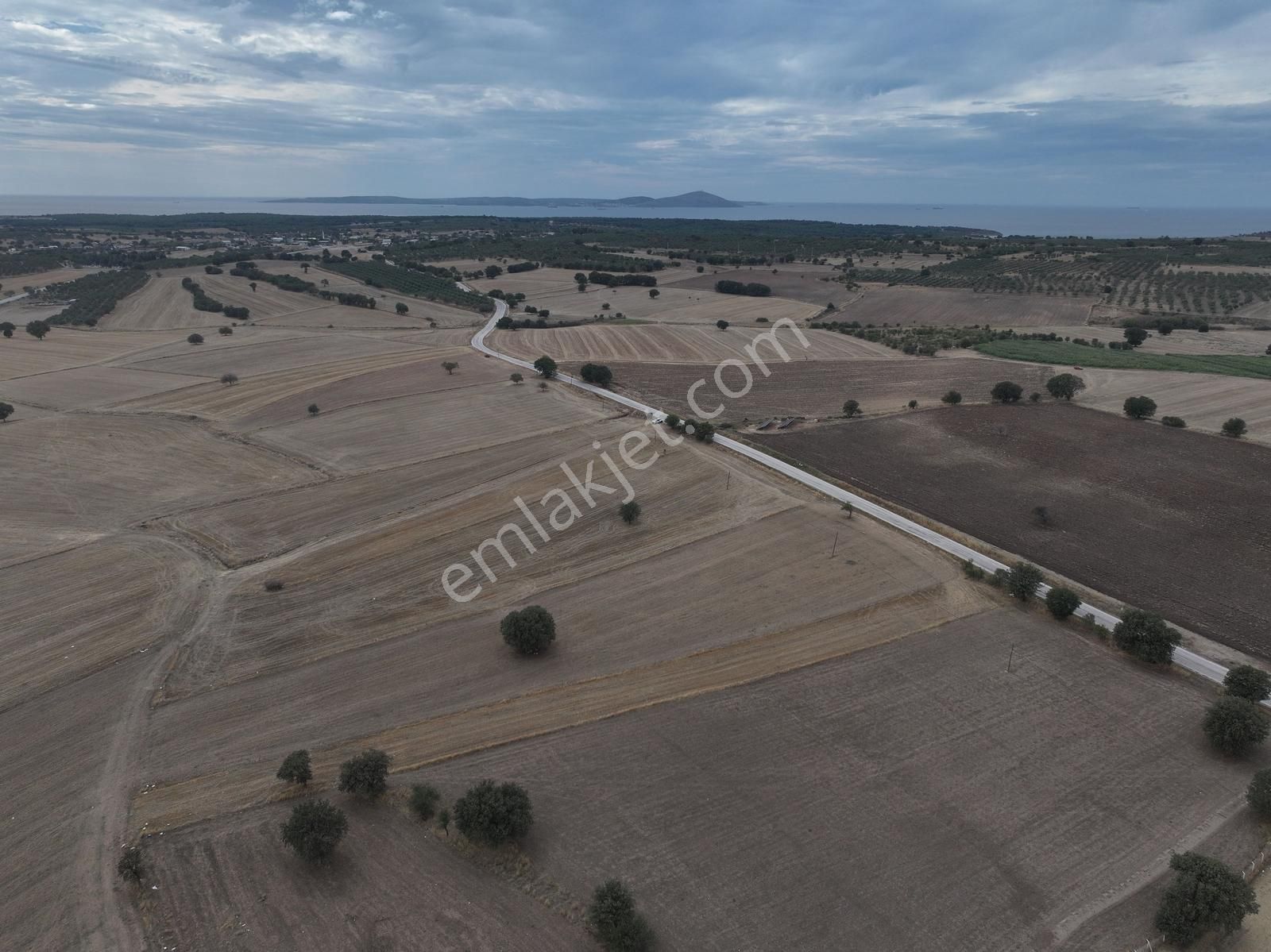 Ezine Kumburun Asfalt Yol Cephe 27.543m2 Satılık Tarla